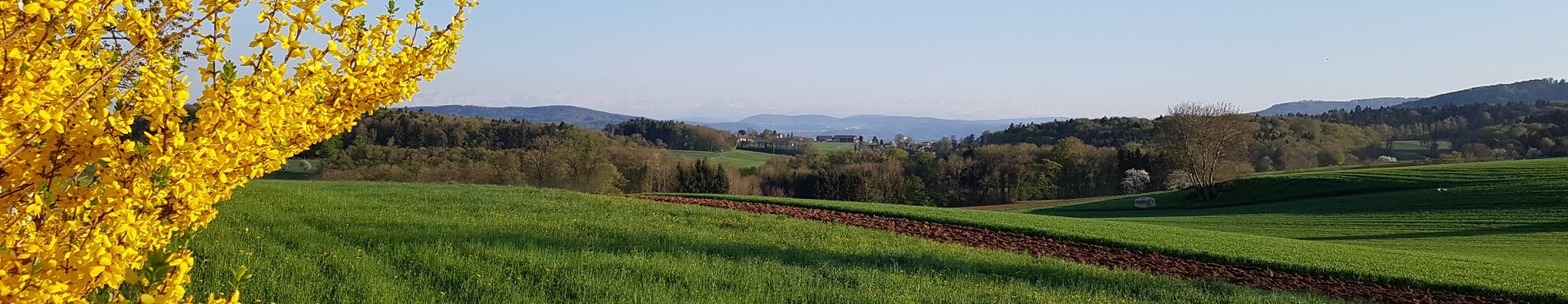 Frühling