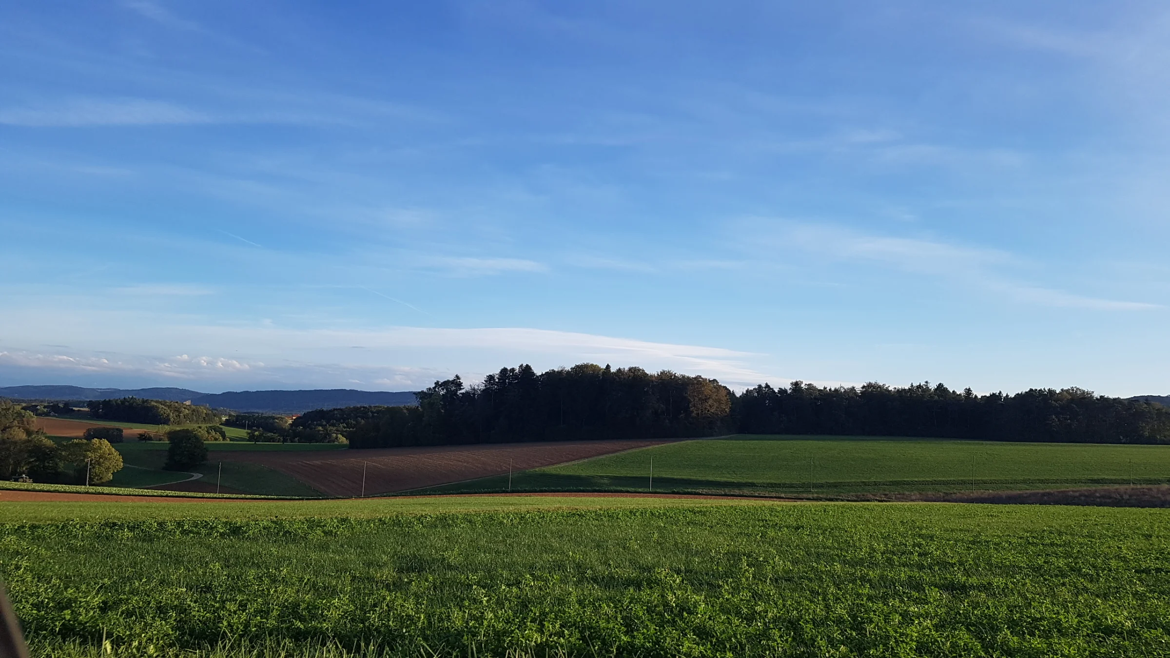 Landschaft